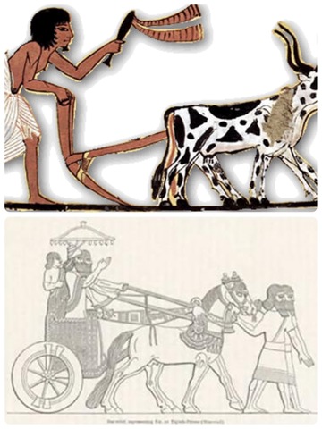 Primeros asentamientos