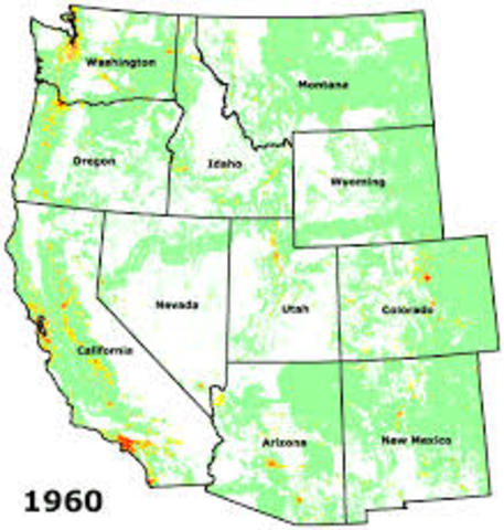 growth of new towns and cities to support cattle, mining, and farming industries.