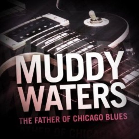 Muddy Waters and Chicago Blues