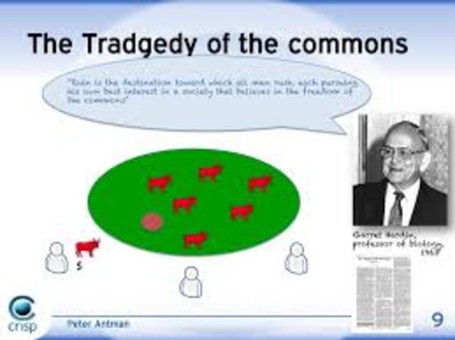 Tragedy of The Commons