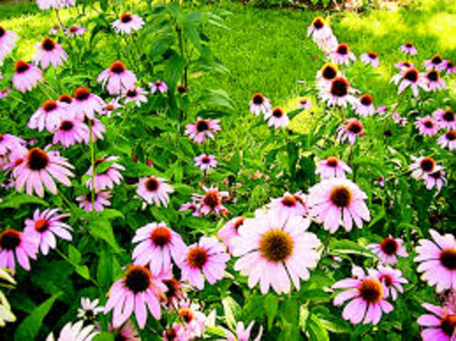 Runner up in photography contest