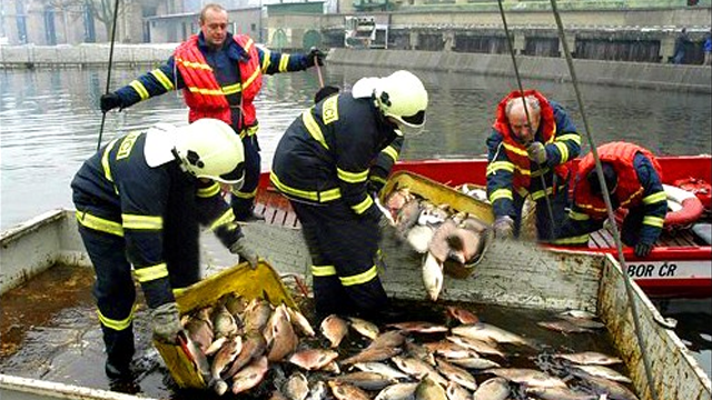 Baia Mare Cyanide Spill