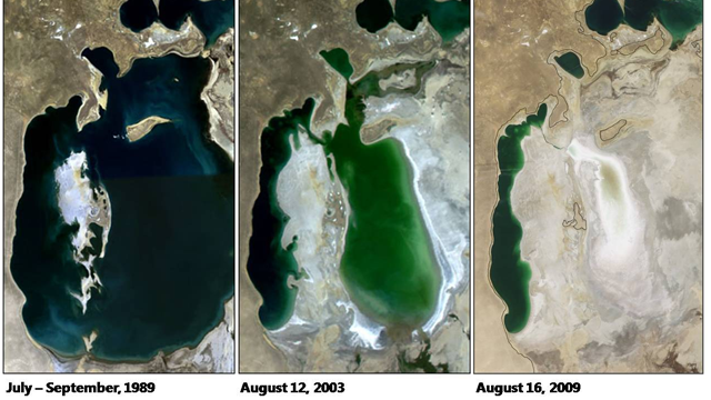 The Shrinking of the Aral Sea