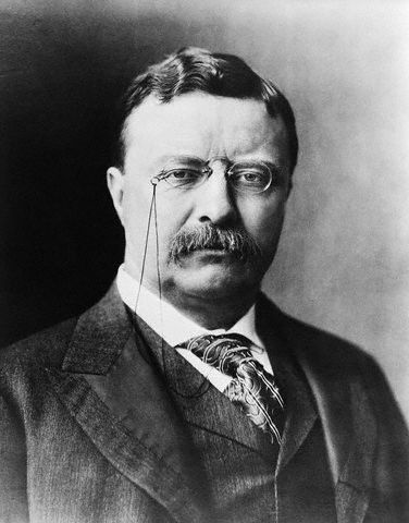 Teddy Roosevelt Creates System of National Parks