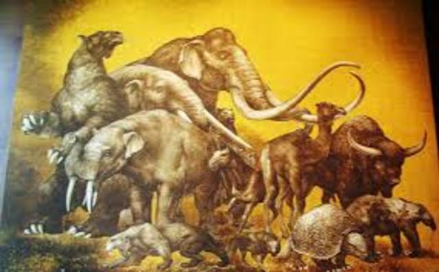 Quartenary: 1.8m - present