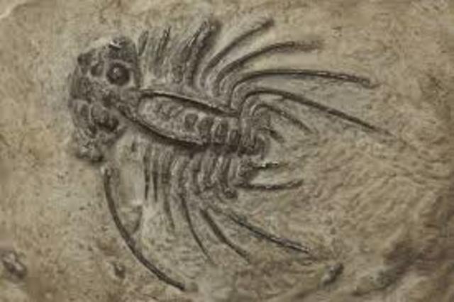 Silurian *435m-395m*