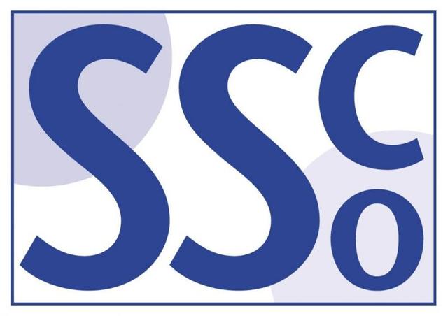 School Sports Partnerships