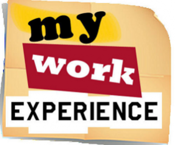 Education (Work Experience) Act