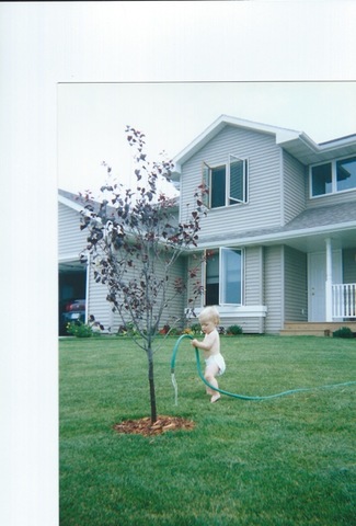 Me mudé de Virginia a Iowa.