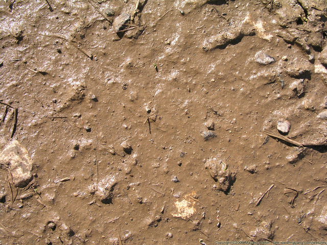 MUD – The earliest form of multiplayer games was debuted