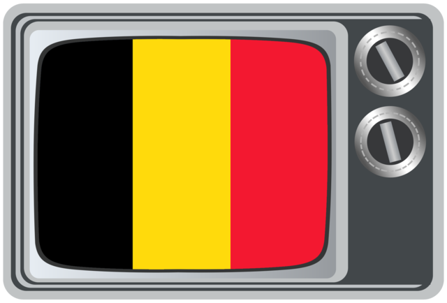Television signals in both analog and digital formats