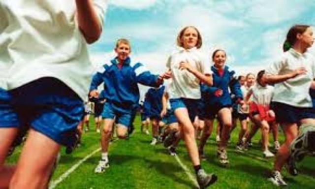 Calition government 2010