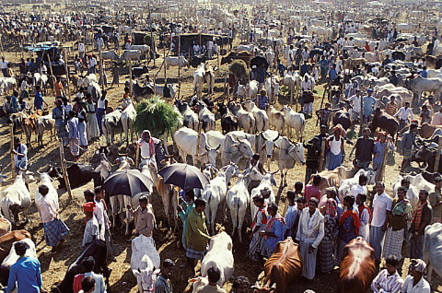 The population of India is one billion