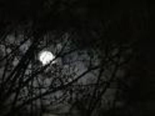 If Thomas Edison hadn’t invented the light bulb...