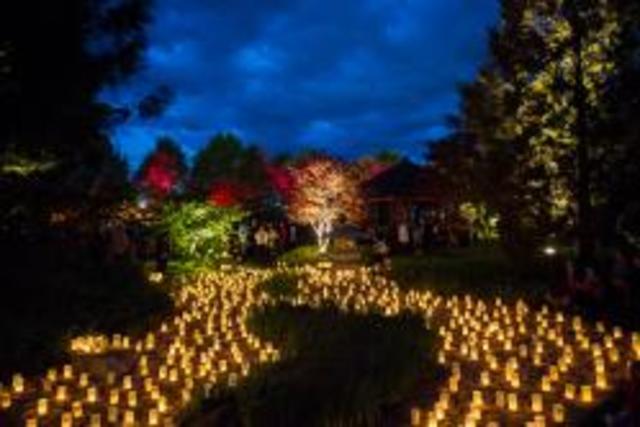 If Thomas Edison hadn’t invented the light bulb