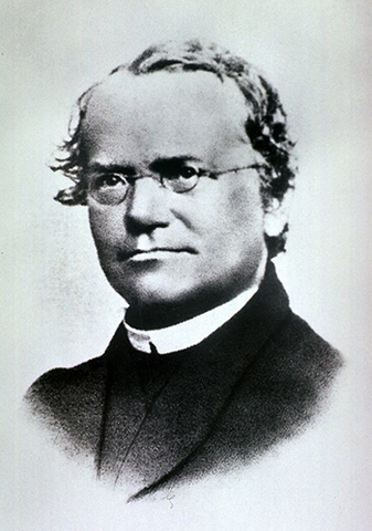 Gregor Mendel Introduces the Individual Inhertied 'Particles'