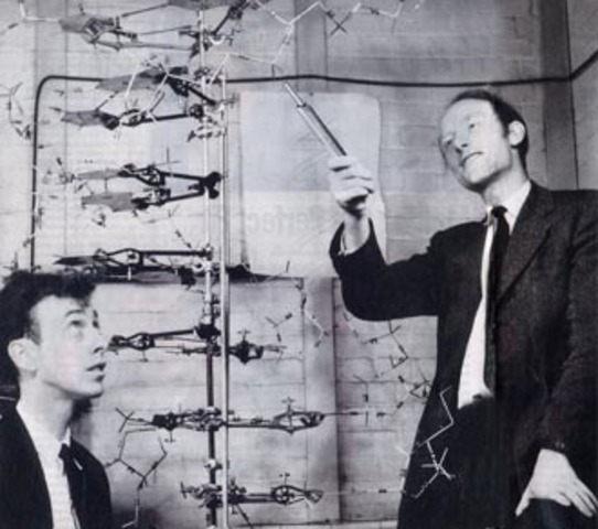 James Watson And Francis Crick