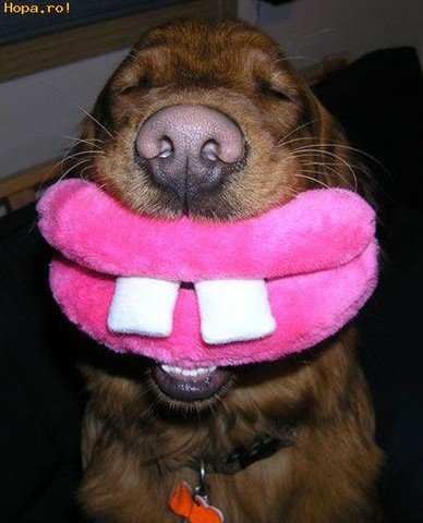 happy about christmas and saaaaaaanta