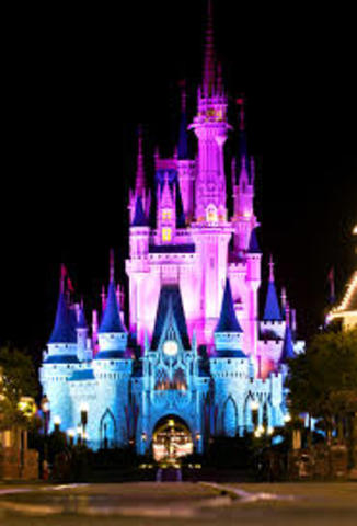 Yo fui a Disney World en dos mil diez.