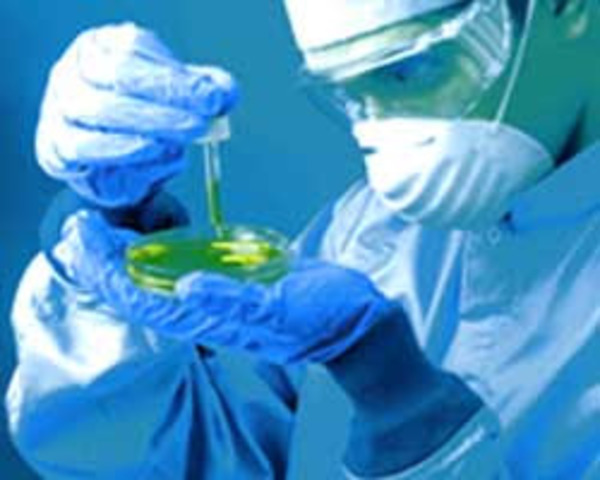 If Gregor Mendel hadn´t deiscovered the basic laws of genetics, new researchers wouldn´t have arisen