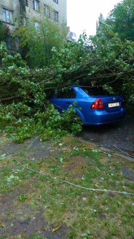 .Из-за ураганного ветра, достигающего 30 м/с , с порывами до 33 м/с, повалены сотни деревья, во многих микрорайонах оборваны линии электропередач.