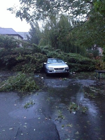 9.35. В городской травмпункт по данным на 9.30 обратилось три человека, получивших травмы в результате шторма