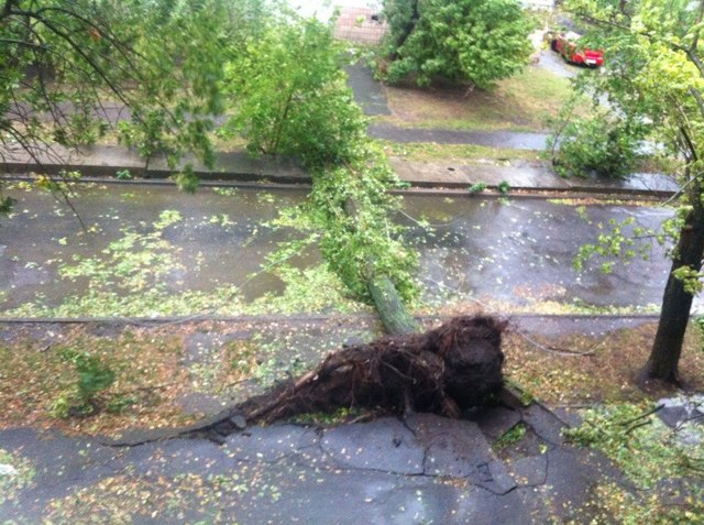 10.00. Непогода отразилась и на междугородных пассажирских перевозках,