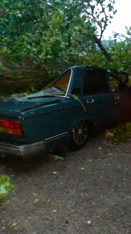 Из-за непогоды бердянские школьники со вчерашнего дня не учатся, дошкольники не ходят в детсады