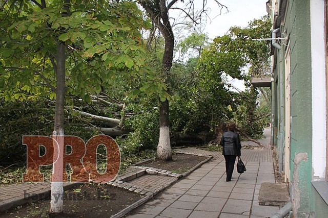 Бердянск снова будет зеленым городом