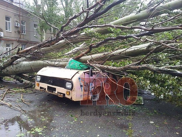 Власти Бердянска не в силах устранить последствия стихии даже под окнами горисполкома