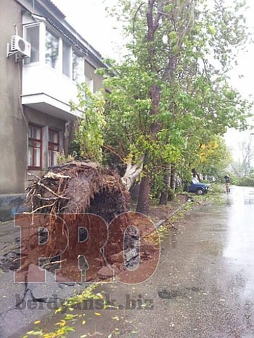 за сутки газовая служба подключила 850 абонентов