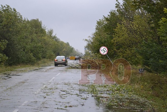 Некоторые бердянцы до сих пор живут без света и под угрозой обвала деревьев