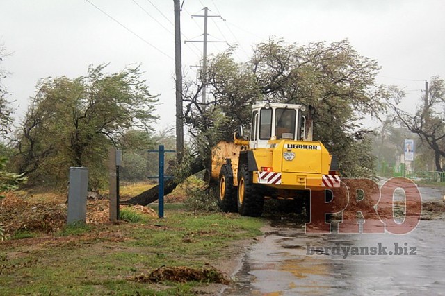 «Бердянский райагропромснаб» восстанавливает элетричество в микрорайоне Колония