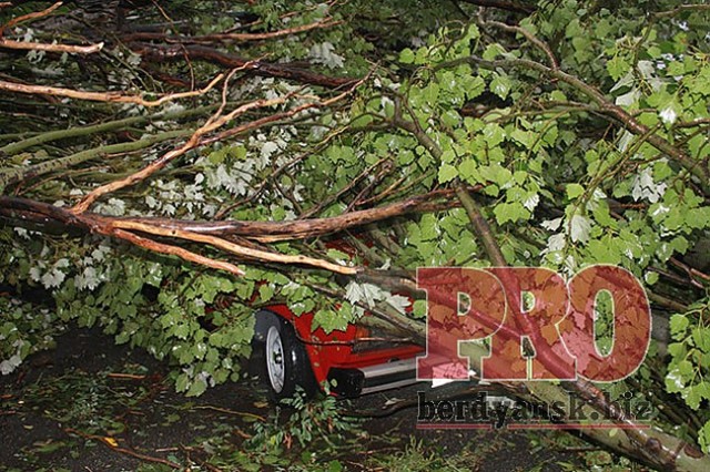 преступники пользуются стихийным бедствием
