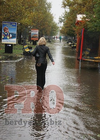 Непогода, которая бушевала вчера в нашем городе, затронула и Бердянский район