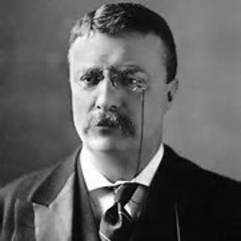 teddy rosevelt