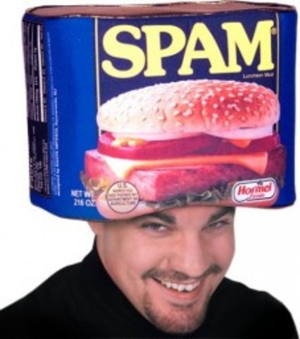 Spam was born