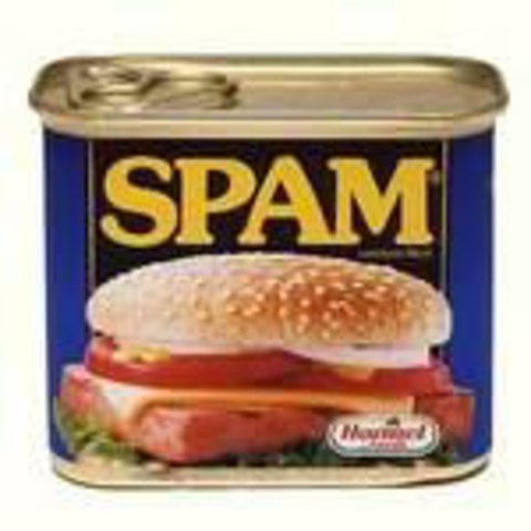 Spam is Born