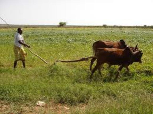 Arfictural based econmey