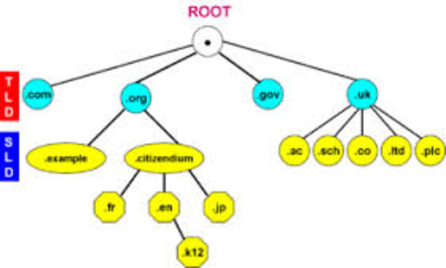 The domain name system was created