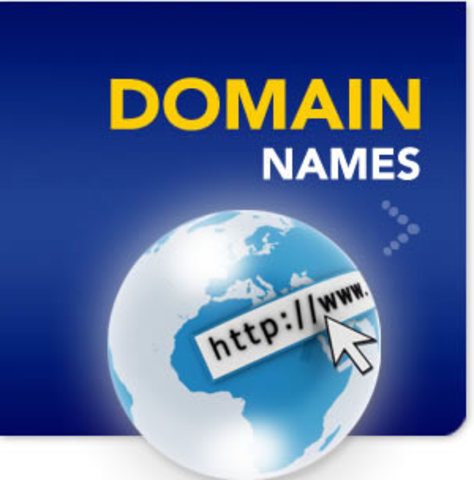 The domain name system was created