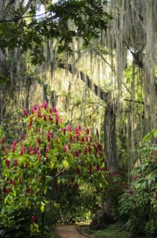 Capital Turisitica de Santander