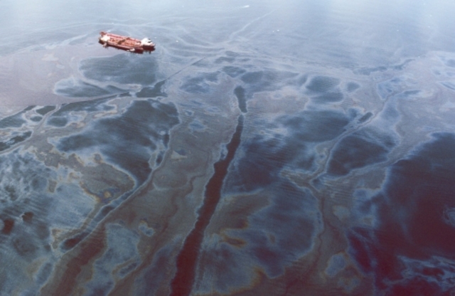 The Exxon Valdez Oil Spill
