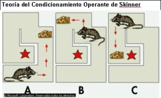 condicionamiento operante