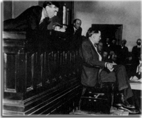 Dr. R.R. Bridges' Testimony