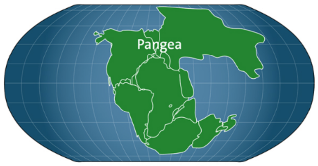 If Alfred Wegner hadn’t discovered Pangaea; mankind would have thought that continents have been there forever.