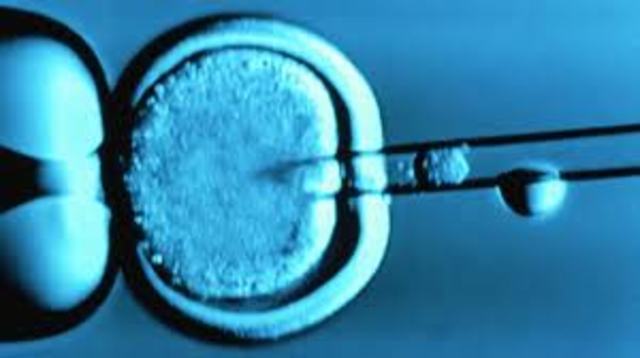 If Gregory Mendel hadn’t invented genetics; cloning would have not been possible.