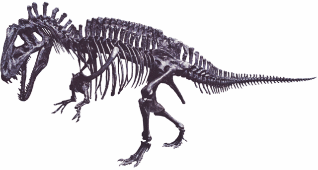 Exctinction des dinosaures