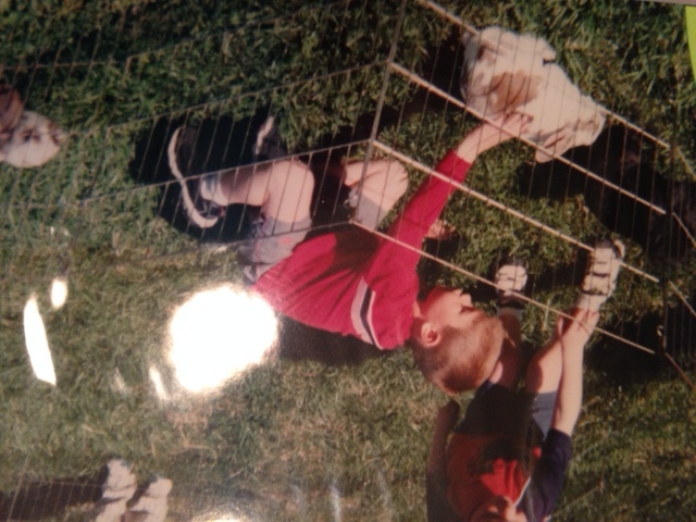 Fui a la zoo en 2005