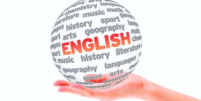 Wilkin propone una definicion funcional de la lengua